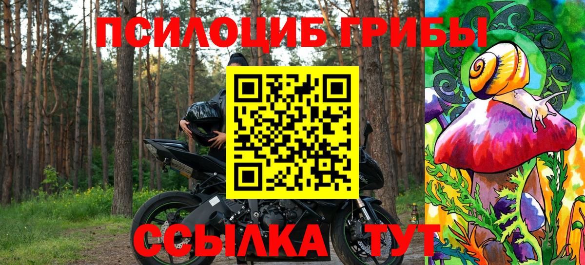 Азов  Галлюциногенные грибы MAGIC MUSHROOMS  Псилоцибиновые грибы Psilocybine cubensis  Вход с VPN 